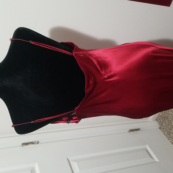 Beautiful Ruby Red Niki by Niki Livas Gown. - Picture 3 of 9